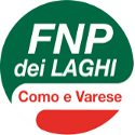Banner Sito FNP-CISL dei Laghi - Logo